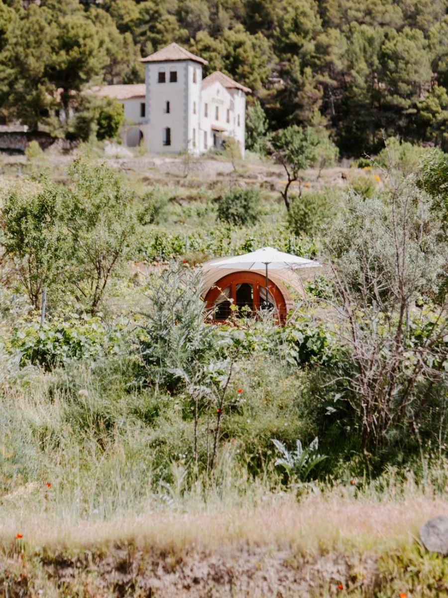Finca Seguró among the mountains and greenery