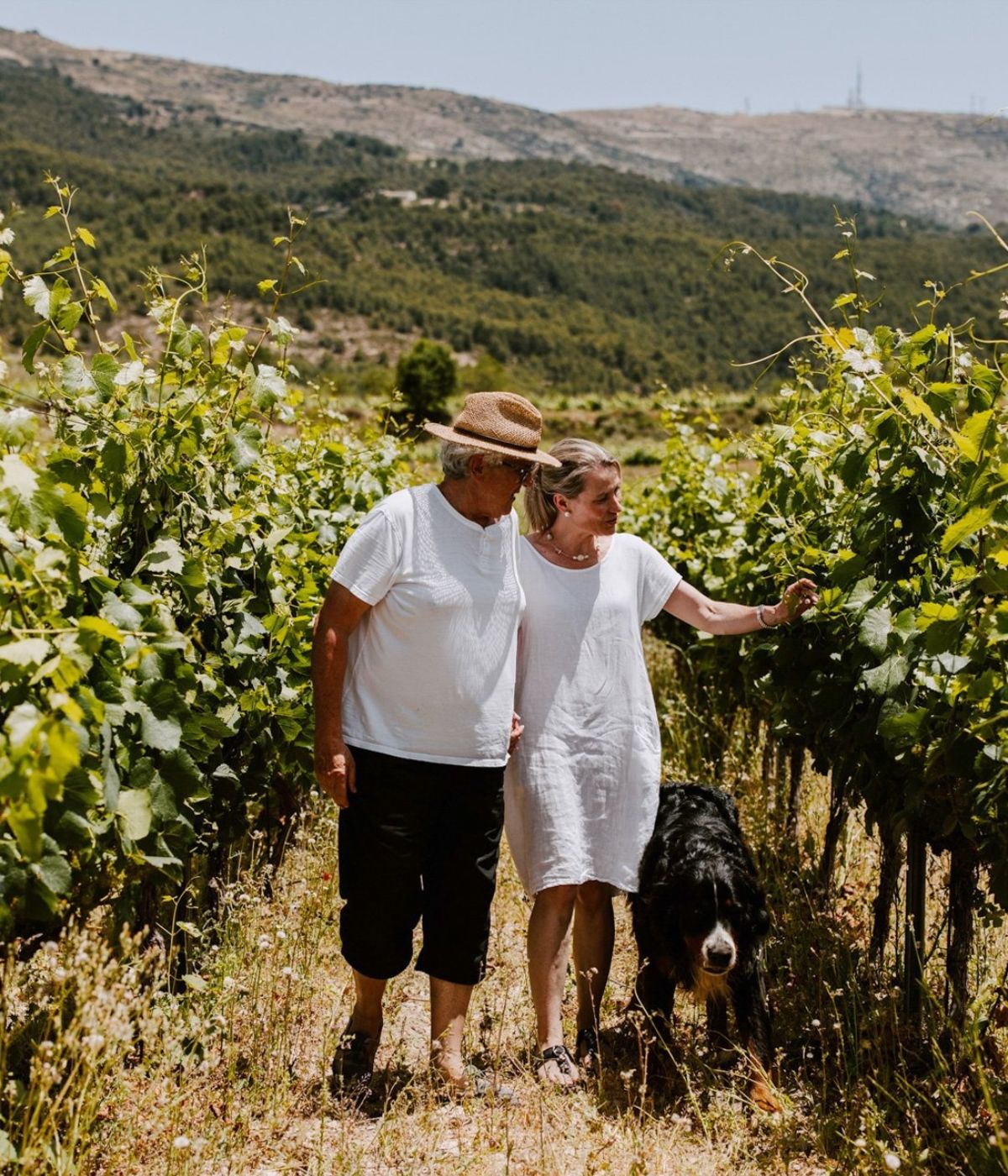 A walk through the finca’s vineyards