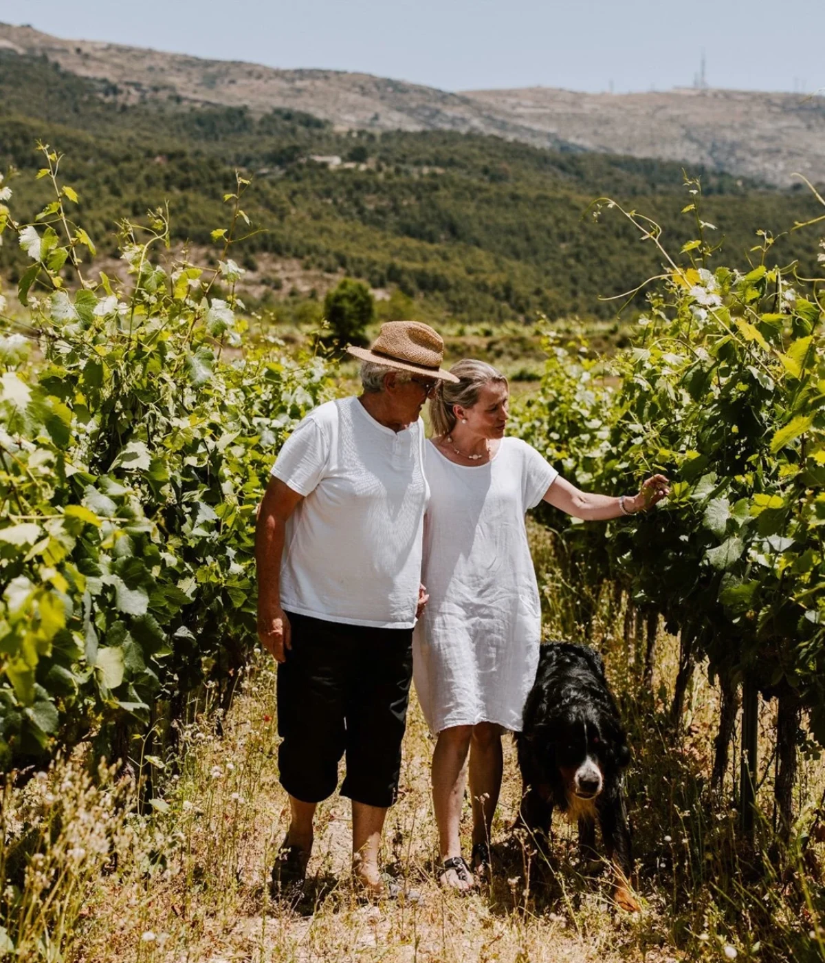 A walk through the finca’s vineyards
